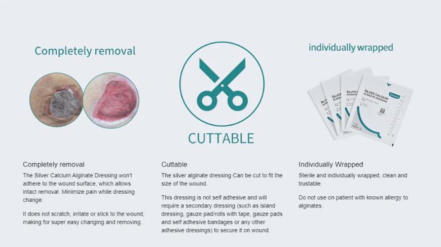 Alginate Ag Dressing, the Healing Power of the Deep Sea