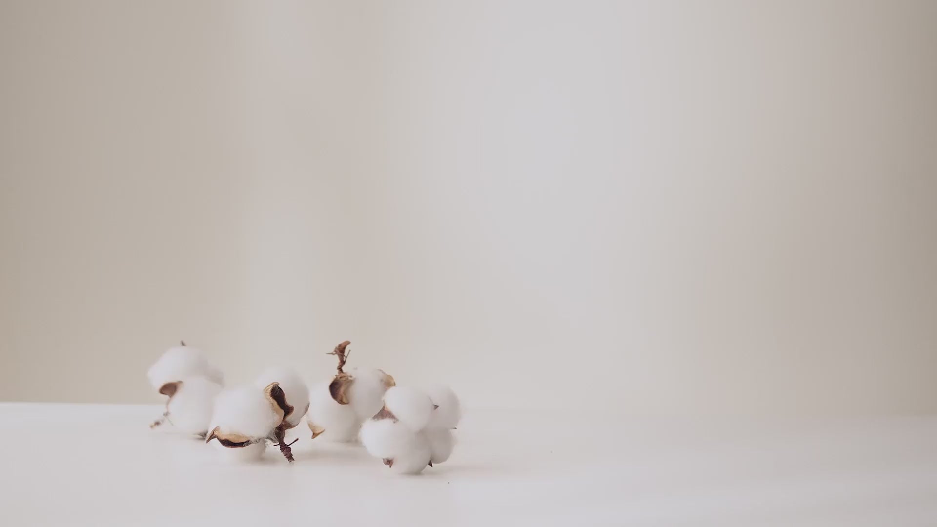 Winner Soft Face Towels, Upgraded Thicker 100% USA Cotton Dry Wipes, Unscented and Gentle on Sensitive Skin, Disposable Makeup Remover and Facial Towelettes