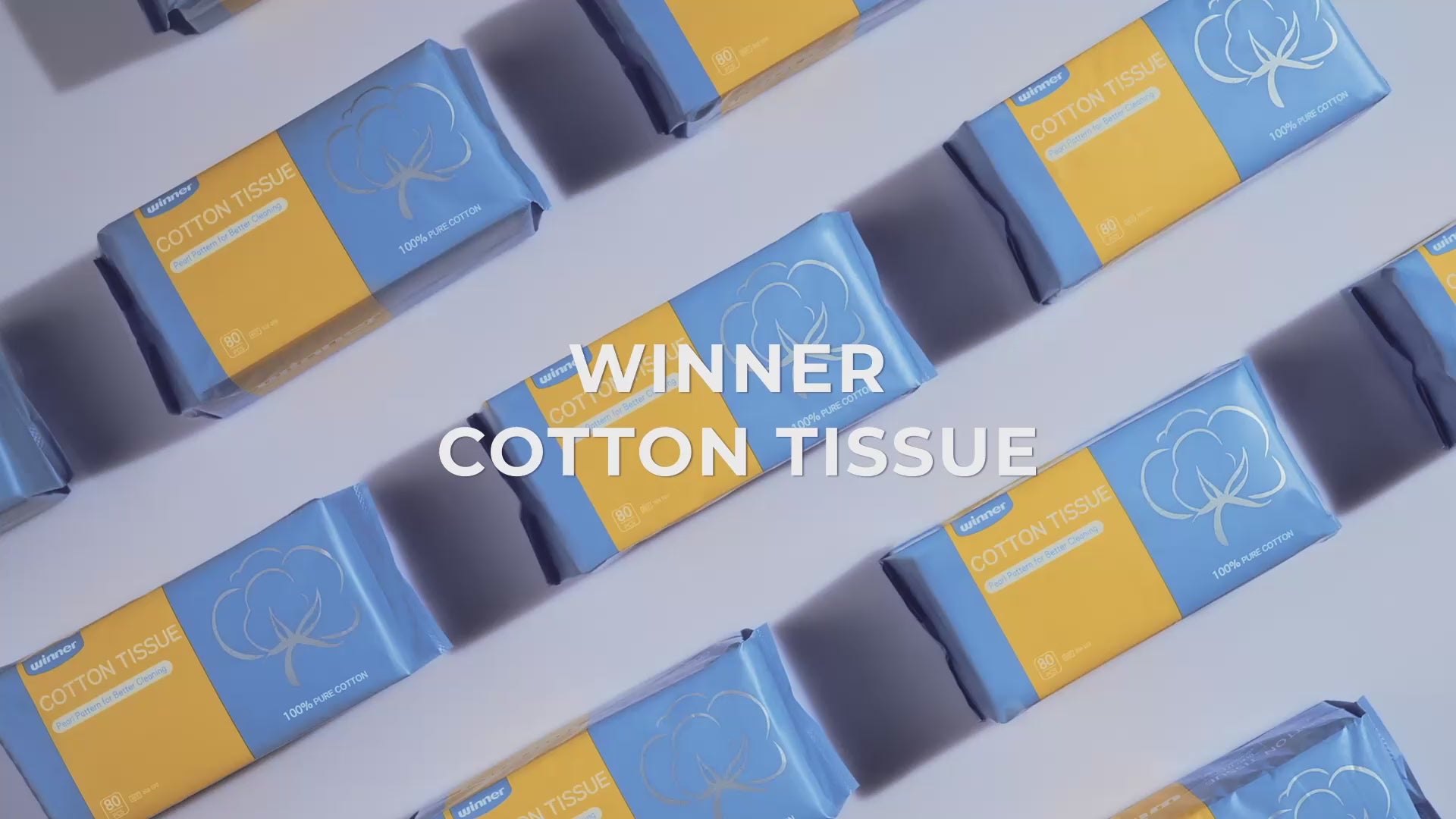 Winner Facial Tissue for Sensitive Skin, Makeup Wipes, Two-sided Texture, 480 Count